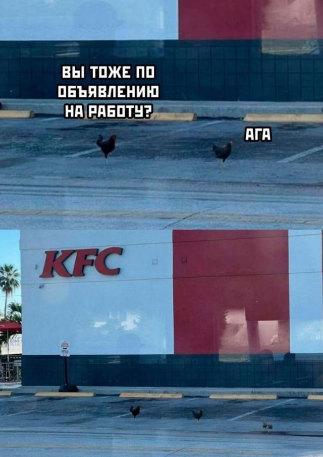 Нуштош 29.09.2023
