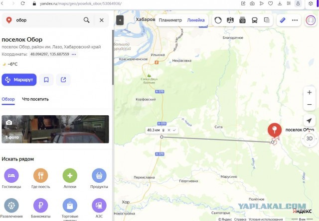 «Доживем до момента, когда в лес будет не выйти»: тигр загрыз пенсионера