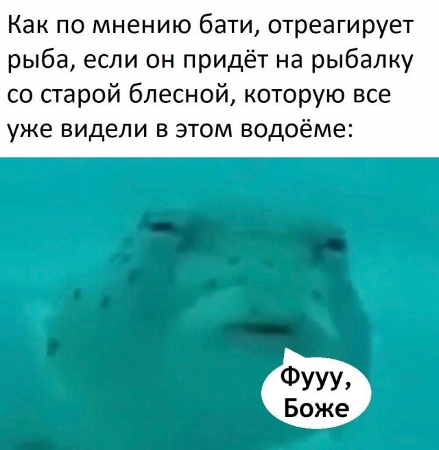 Всего понемногу. От 22.07.24