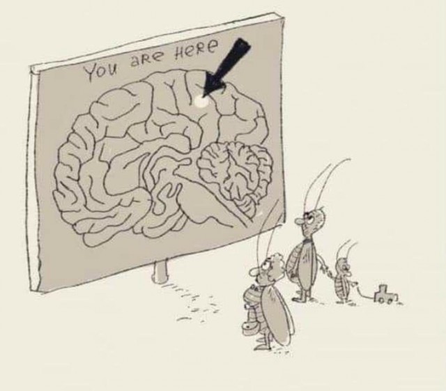 Прикольные и просто красивые картинки