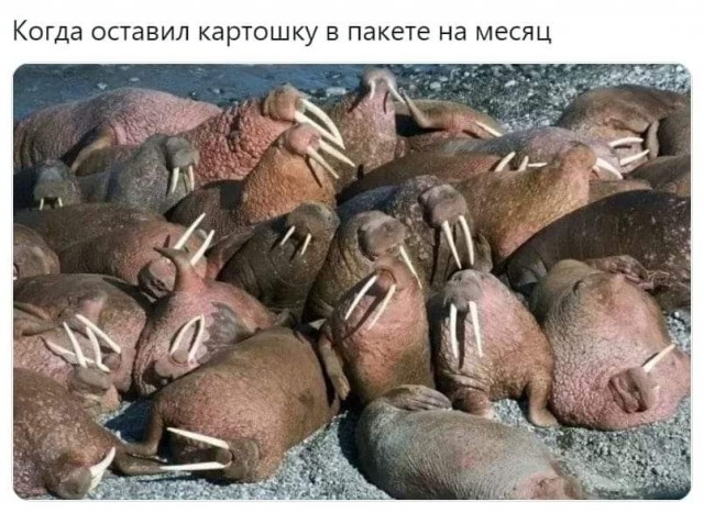 Маленькая пятница