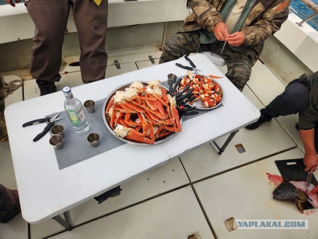 Безумству храбрых поем мы песню или Камчатка я опять вернулся.