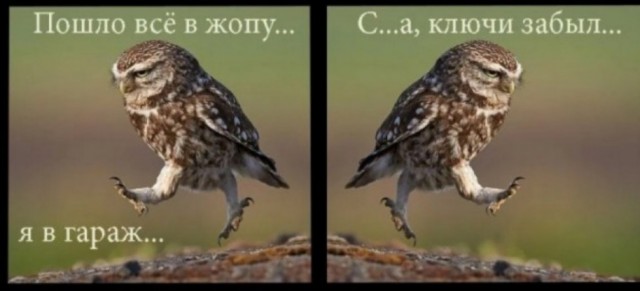 А какой у Вас любимый город