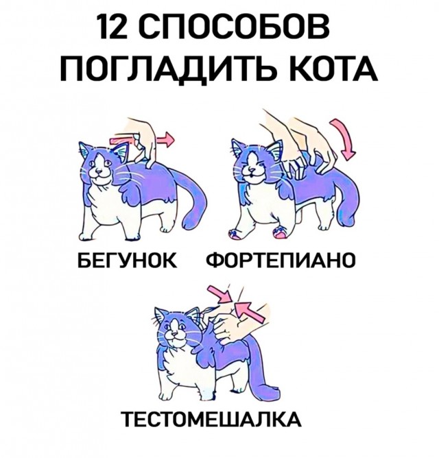 Так себе картинки 14.02.25