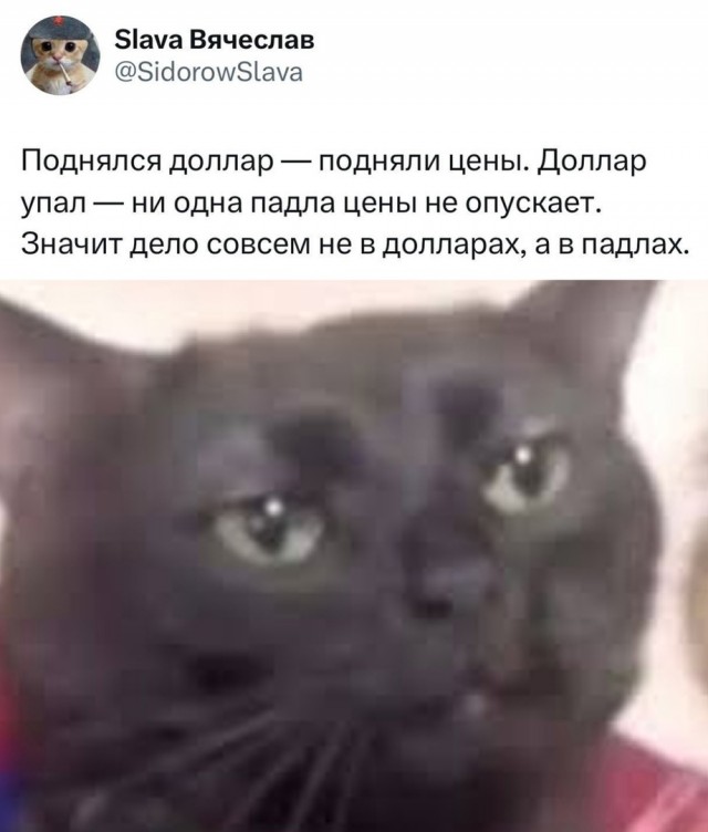 Так себе картинки 15.02.25