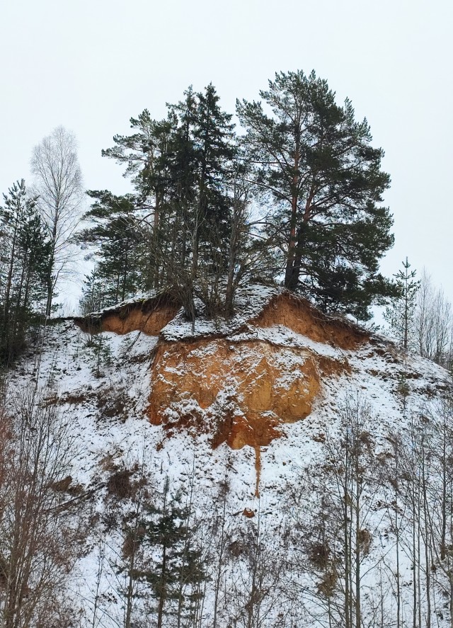 Красота в глазах смотрящего