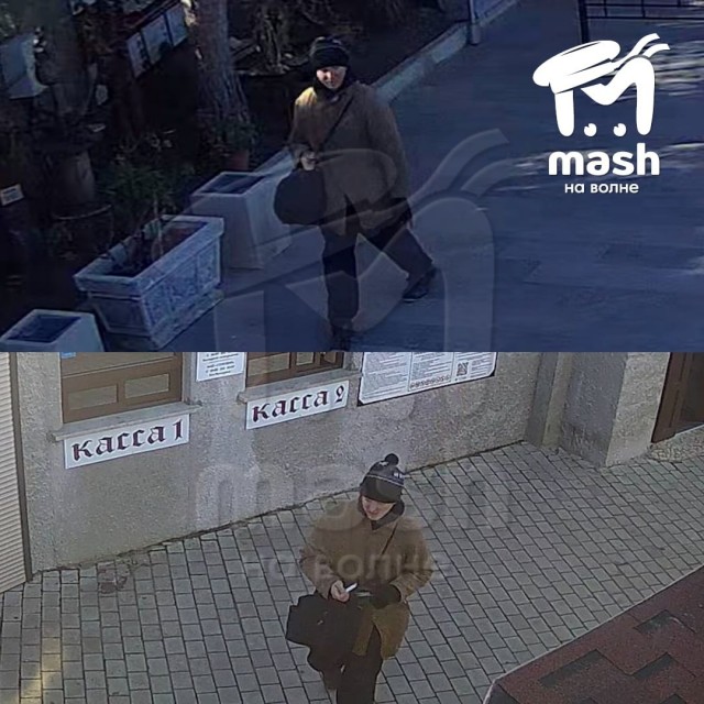 В Крыму мужчина сбросил кошку Мусю со смотровой площадки Ласточкиного Гнезда