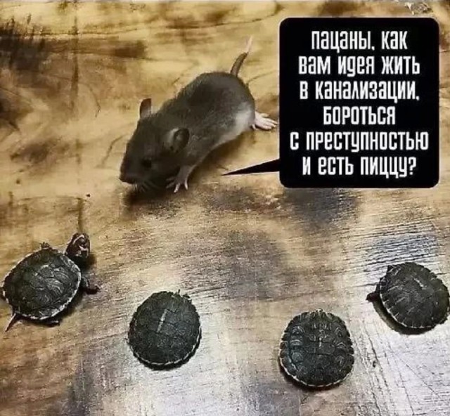 Завалялось тут случайно немного забавных картинок