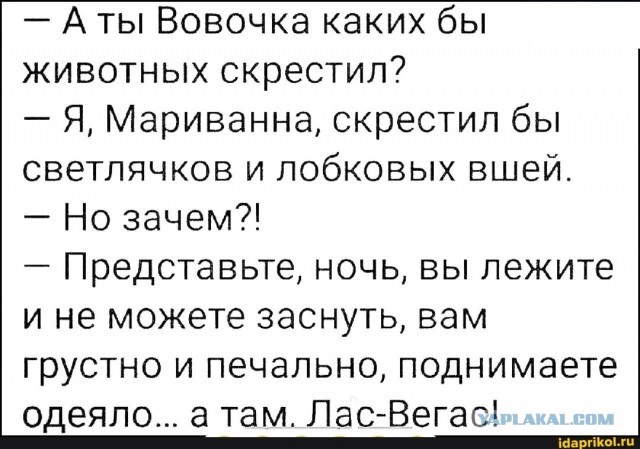Мадам в очень активном поиске