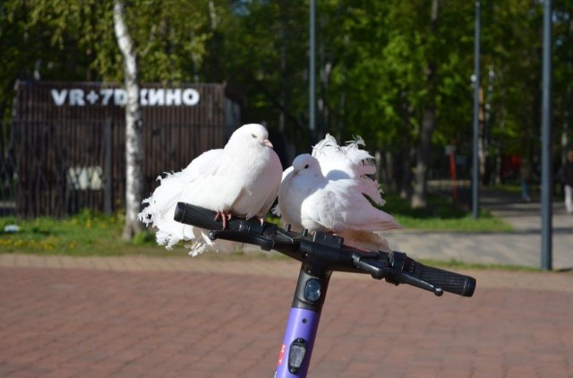 ⚡️Редкие кадры