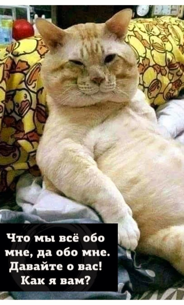 Прикольные и просто красивые картинки