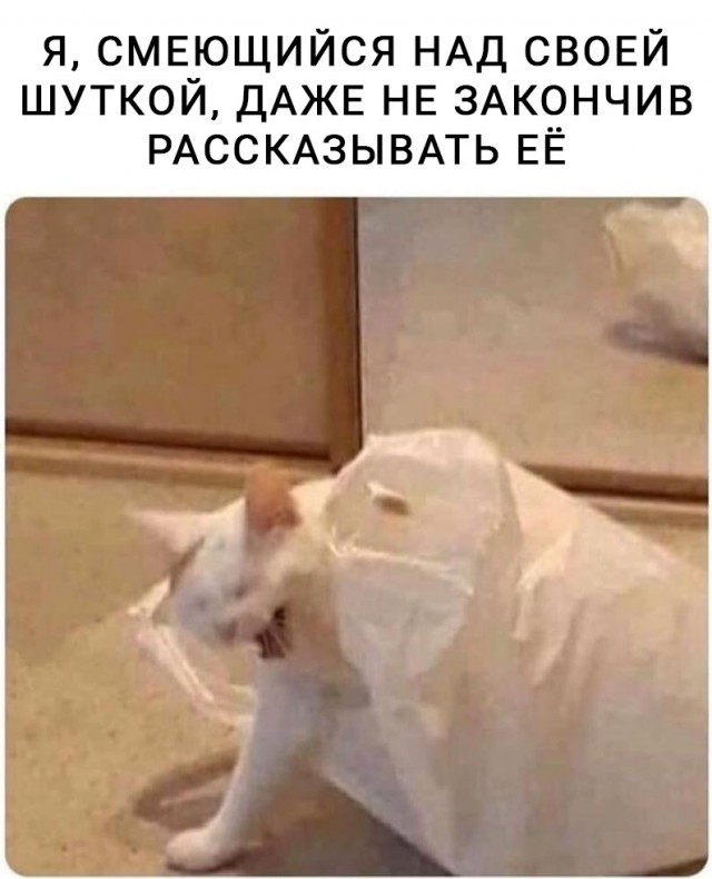 Веселое настроение в картинках 08.08.25