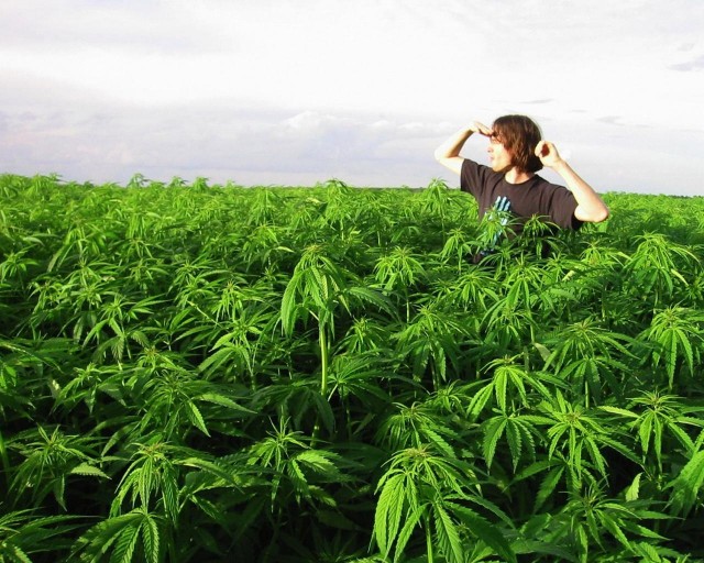 Хроники Пятигорска: Американская "Посылочка" с Сюрпризом, или Как Чувак Заказал Себе 10 Лет Отдыха на КавМинВодах