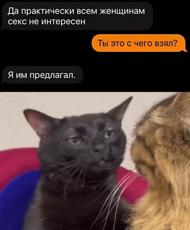 Так себе картинки 18.08.25