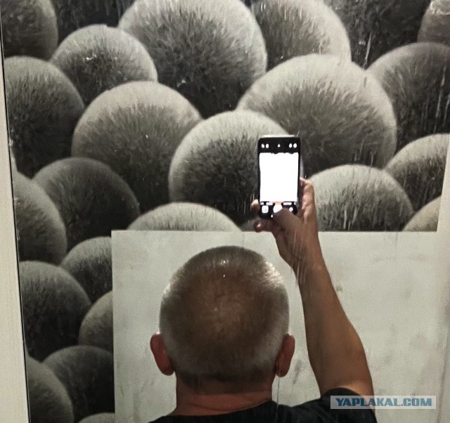 Пост одной картинки. Матрица.