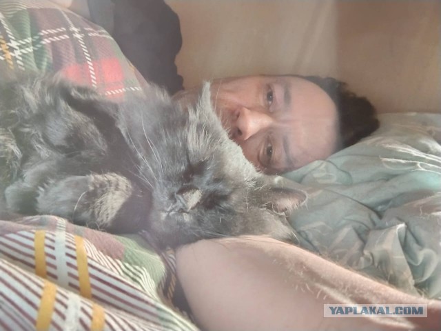 Ну и как такую ругать?