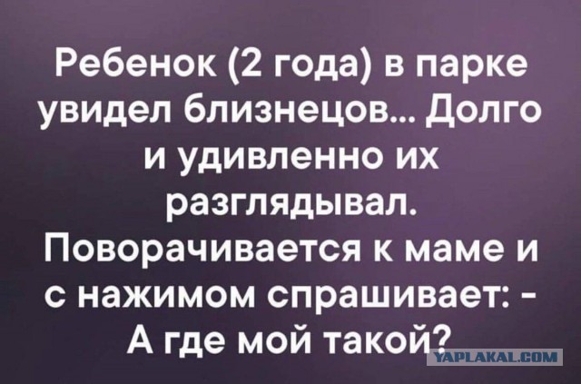Веселые картинки в пятницу (14.11)