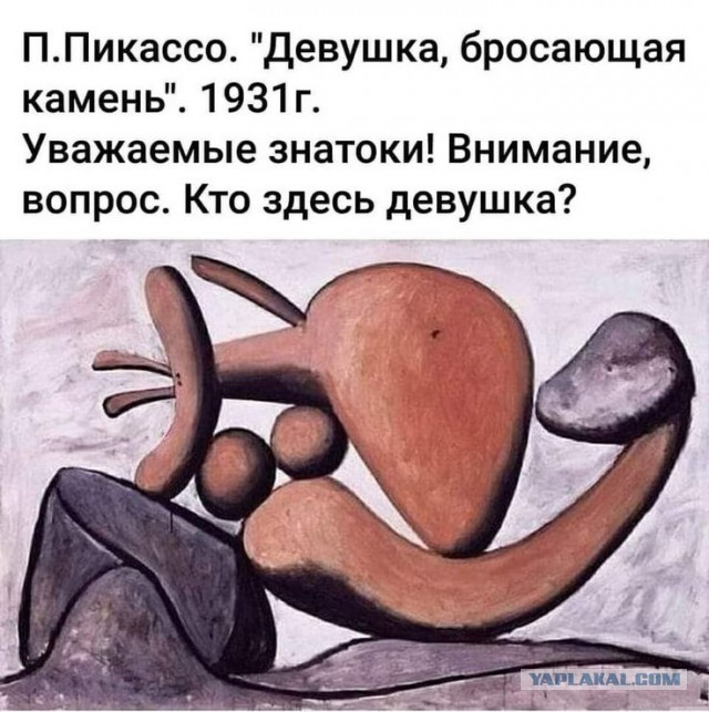 Куча мала 12