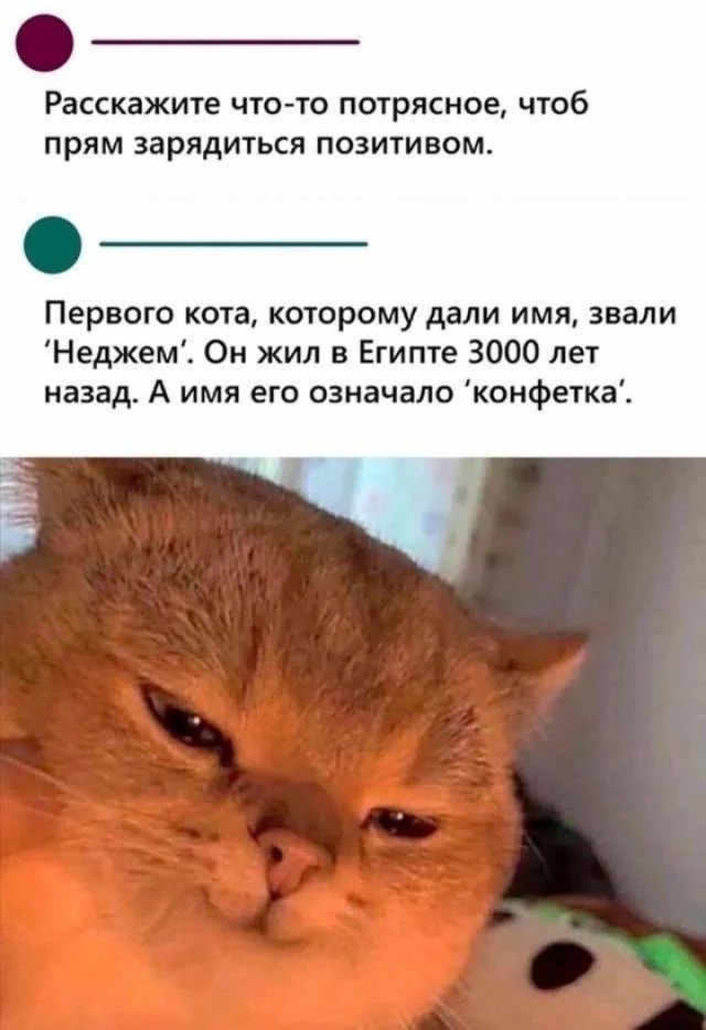 *зачёркнуто*