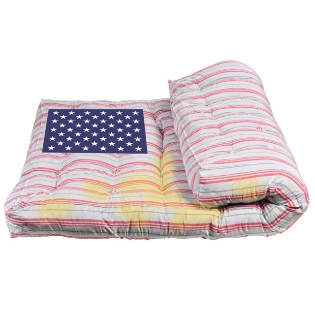 AIPAC: Теневое правительство, диктующее внешнюю политику США