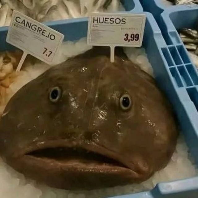 Рыба в Волге