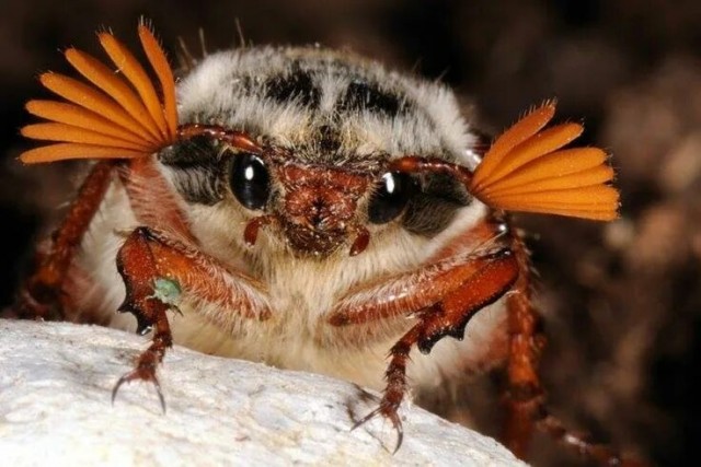 А вы не помните время!