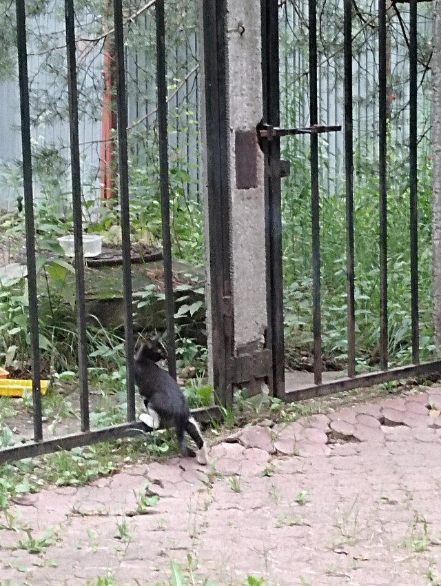 Про "сильных женщин"