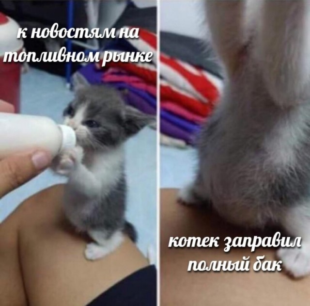 Немного картинок во вторник
