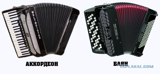 Музыкальная кража в Адлере: уборщик «вынес»аккордеон уличного музыканта