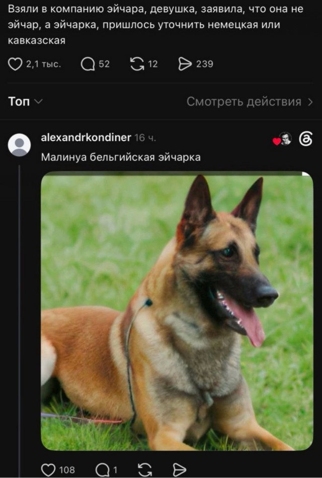 Картинки для деградации 274 (разной степени свежести)