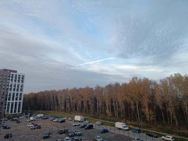 Вот такой багрец у нас в Крыму