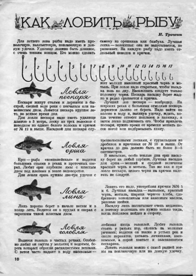 Ветхое живое время...