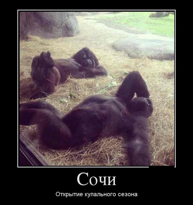 Надо было, сразу так делать)))