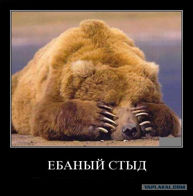 Сердюков-Герой России