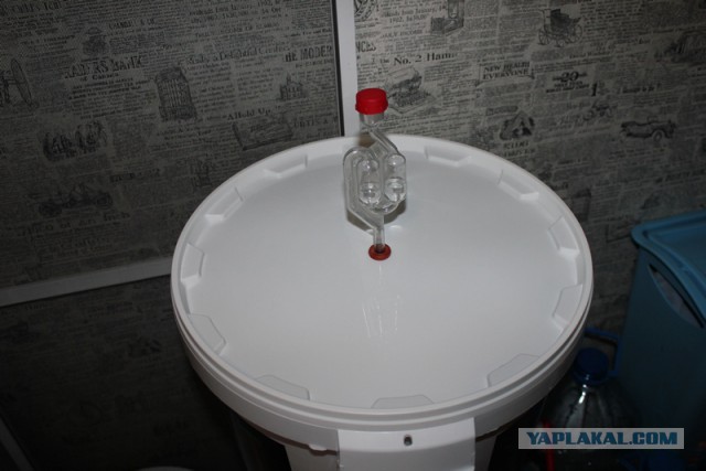 Пиво из концентрата