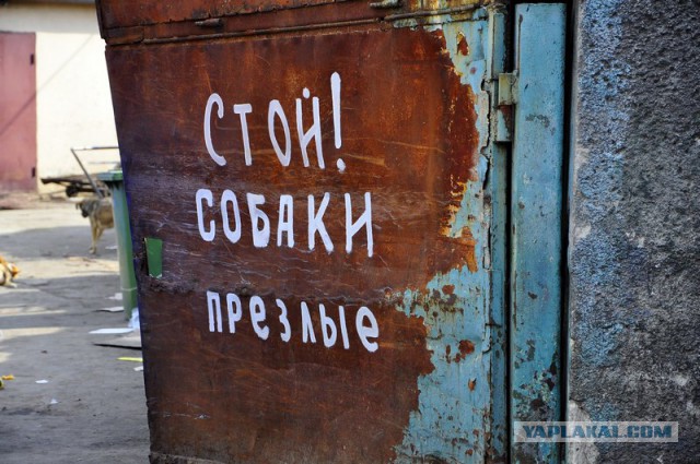 Прогулка по   весенней Одессе