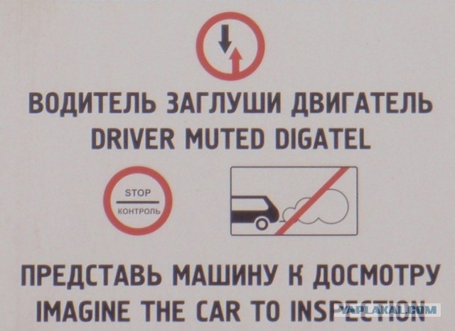Спасение Мустанга