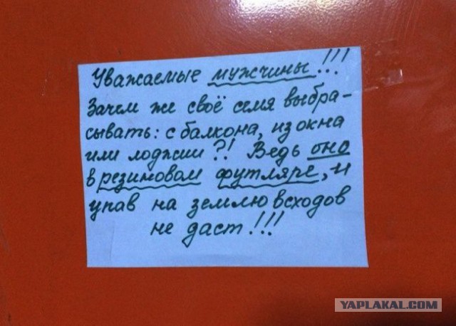 В нашем доме поселился замечательный сосед...