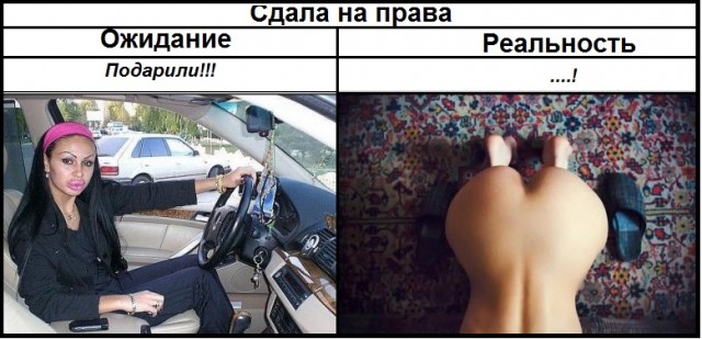 Сдал на права