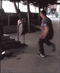 "Обратка" чётко сработала