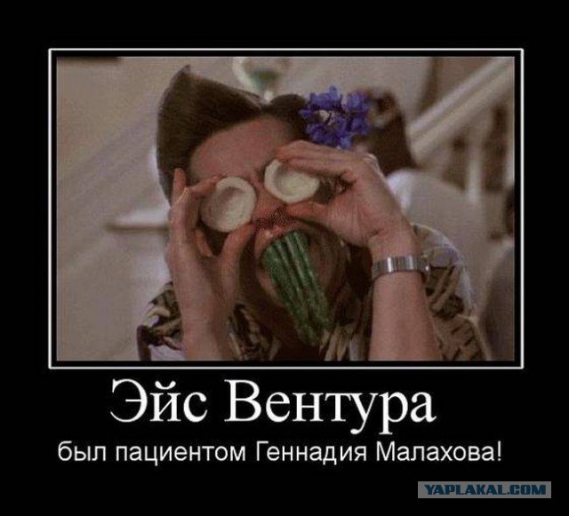 Картинок из сети немножко
