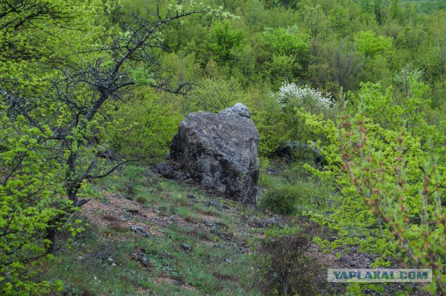 Крымские горы. Май 2015