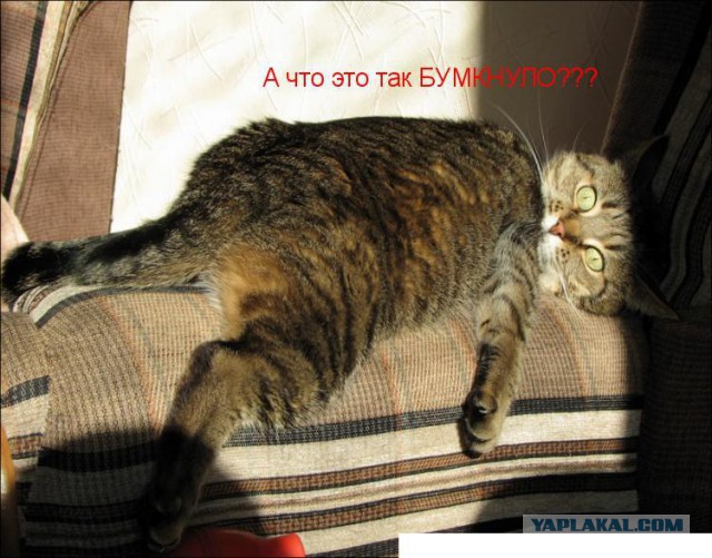 Взрыв гаубицы ВСУ при выстреле.. 18+