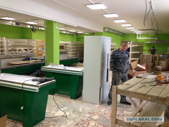 Приветы с рабочих мест ЯПовчан