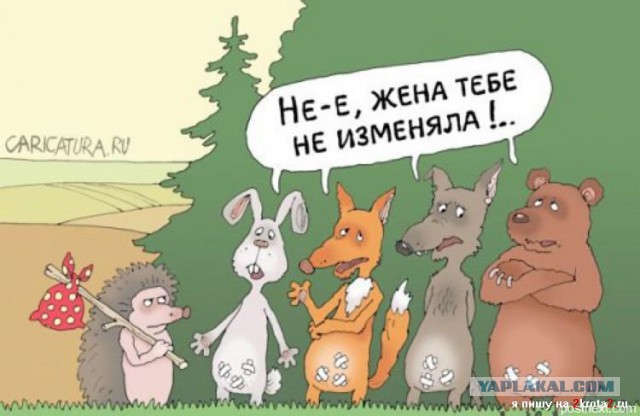 Обнаружил у жены ссадины на коленках