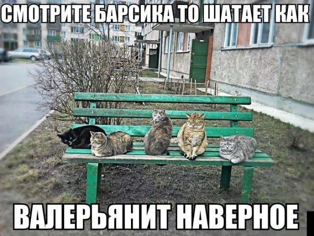 Картинки и демотиваторы