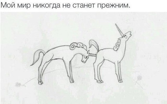 Картинки из вацапа