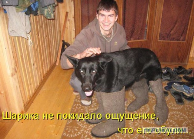 Ну холод же собачий! А в тулупчике тепло