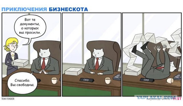 Абсурдный юмор ч. 23