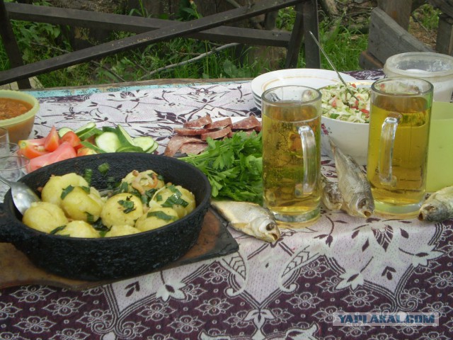 Вобла с пивом